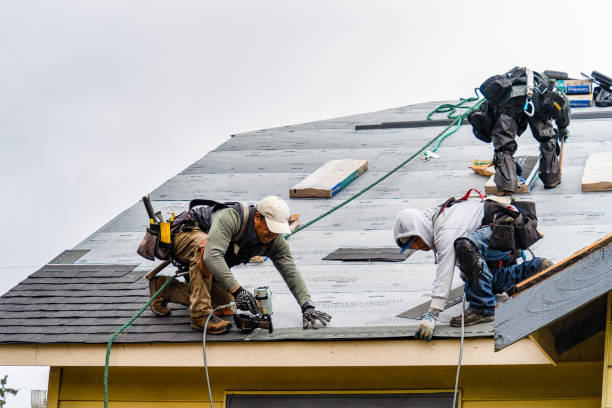 Professional Gutter Installation technician working in Rock Falls, IL